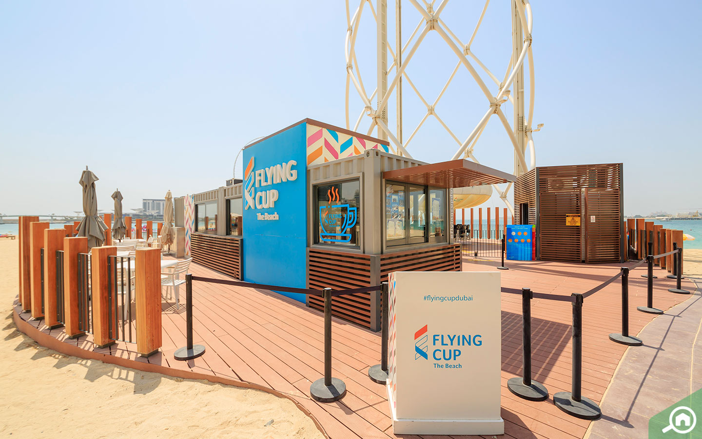 Flying Cup