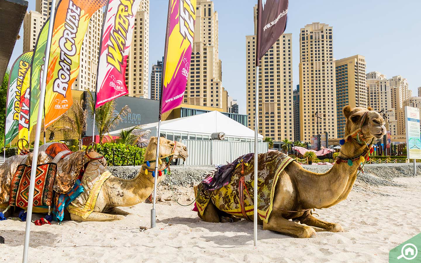 JBR Beach