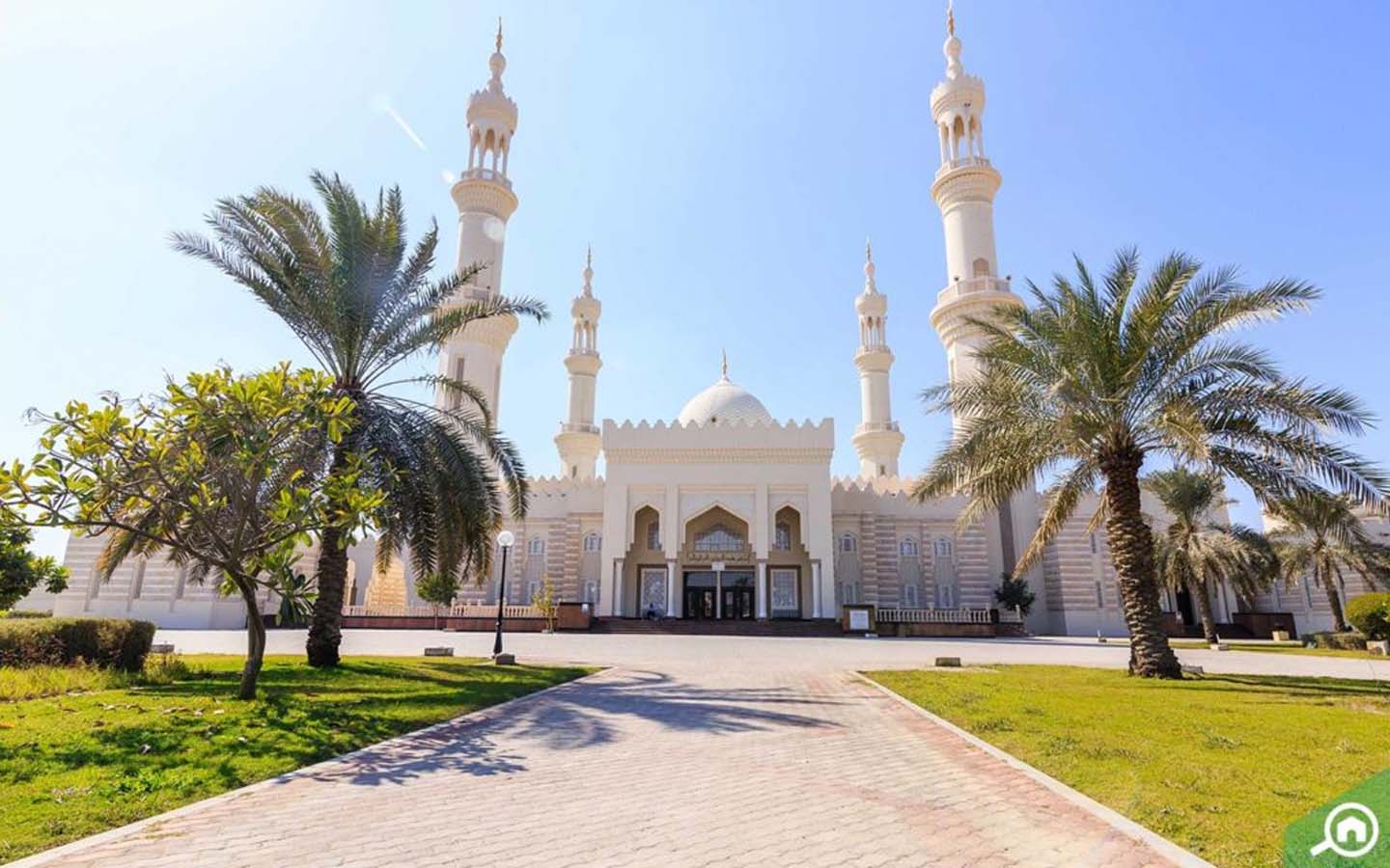 Sheikh Zayed Mosque - 19 Dec