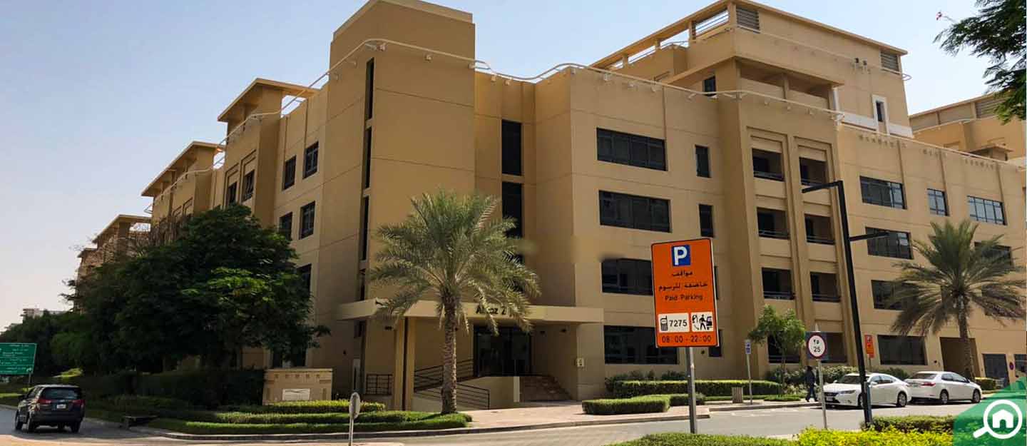 الجاز، الروضة
