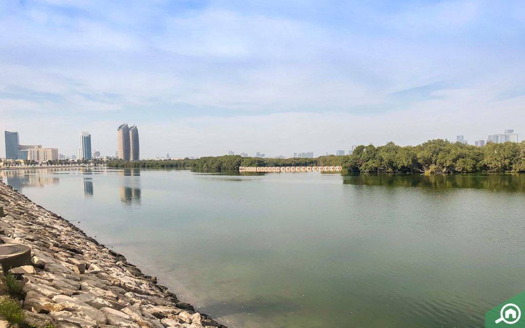 Mangroves National Park