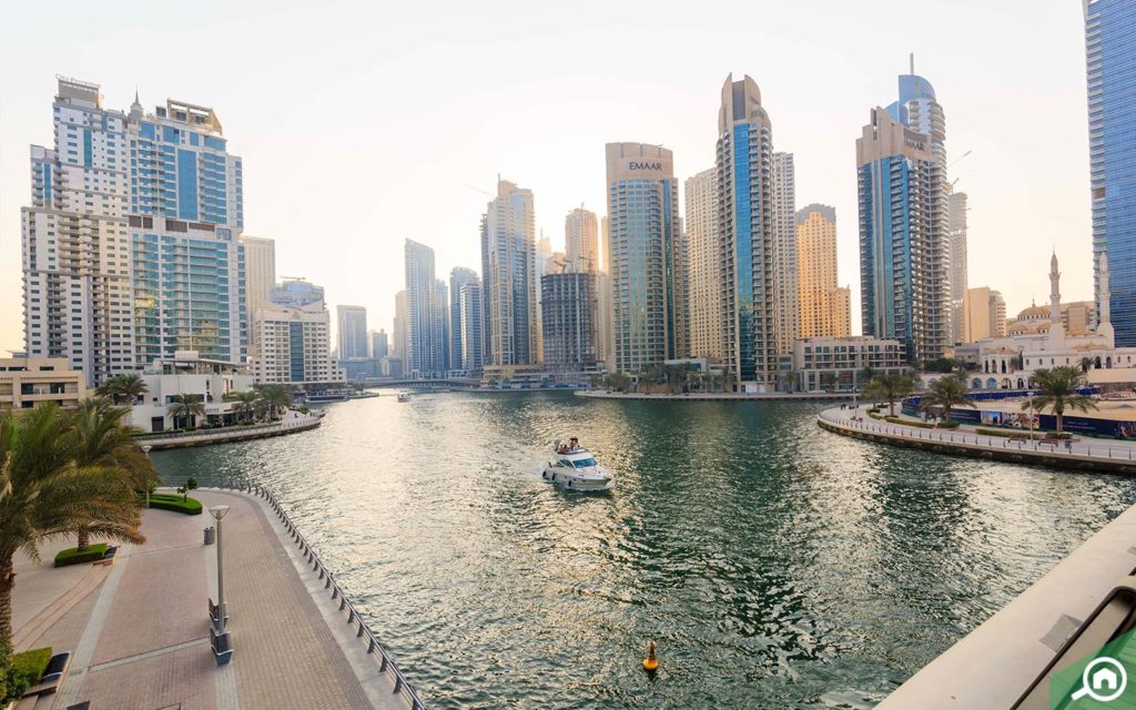 dubai marina walk near marina diamond 5