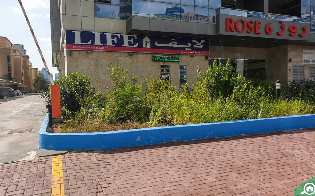 صيدلية لايف