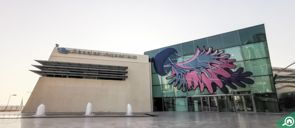 Sharjah Aquarium near Lulu Tower