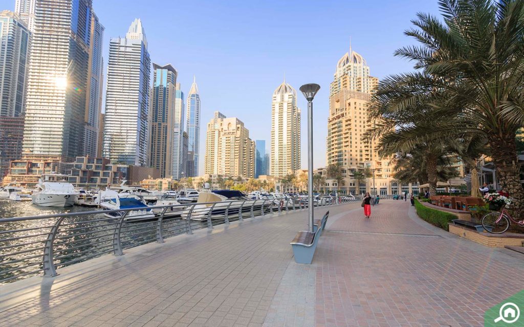 ممشى دبي مارينا