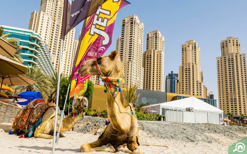 JBR Beach