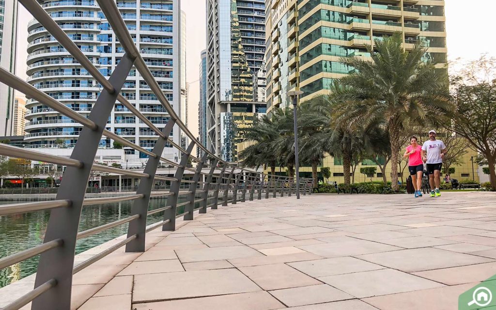 A walking trail in Jumeirah Lake Towers, located near Reef Tower.