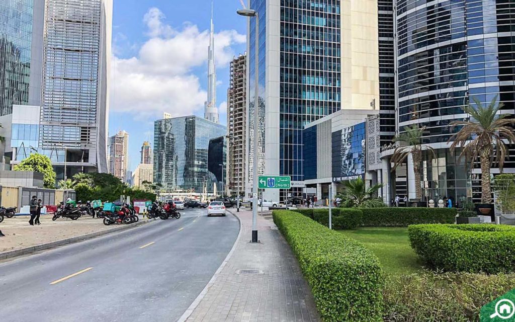 شارع رئيسي يقع بالقرب مزين بالأشجار الجانبية