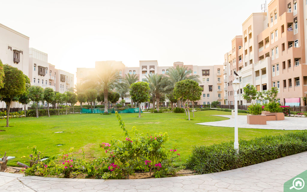 garden in masakin al furjan