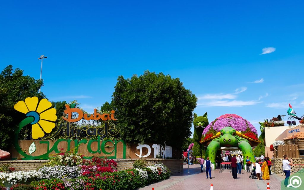 Inside Dubai Miracle Garden