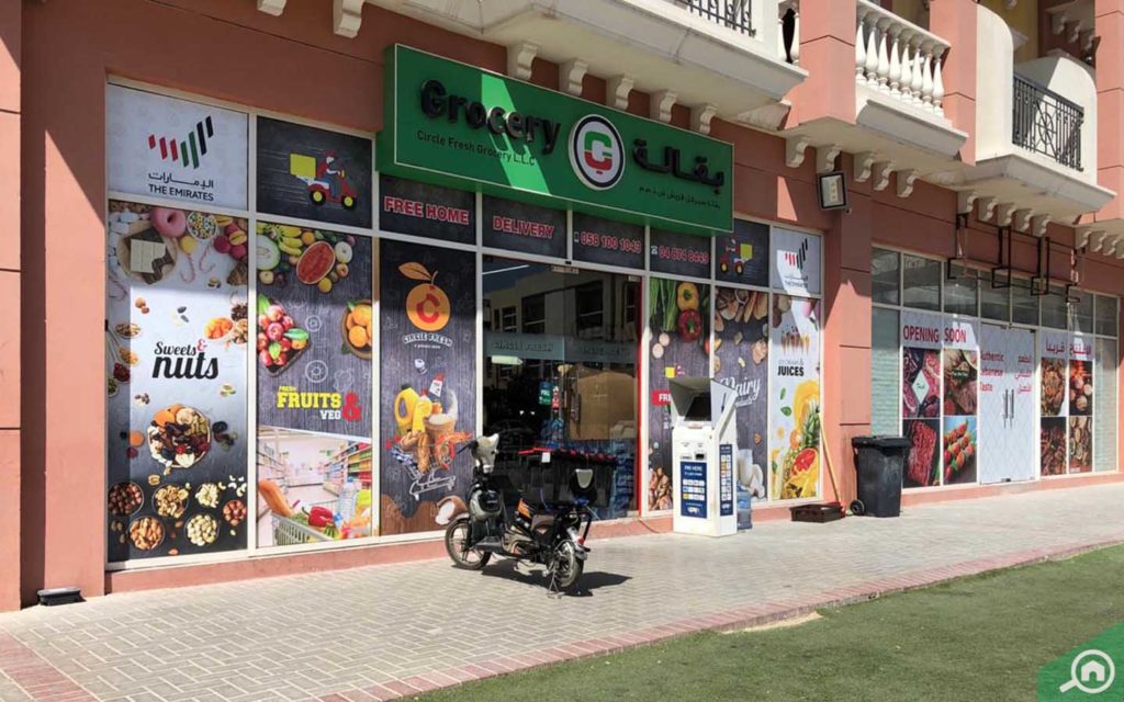 Grocery Store in Botanica
