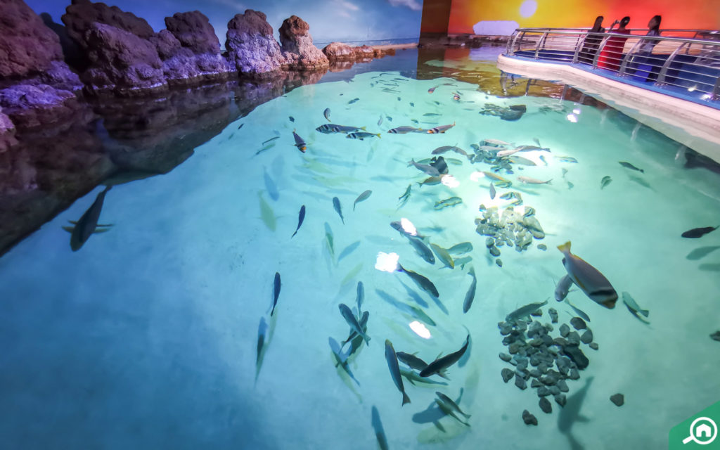Sharjah Aquarium