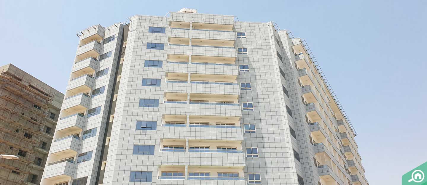 Silicon Heights 2, DSO