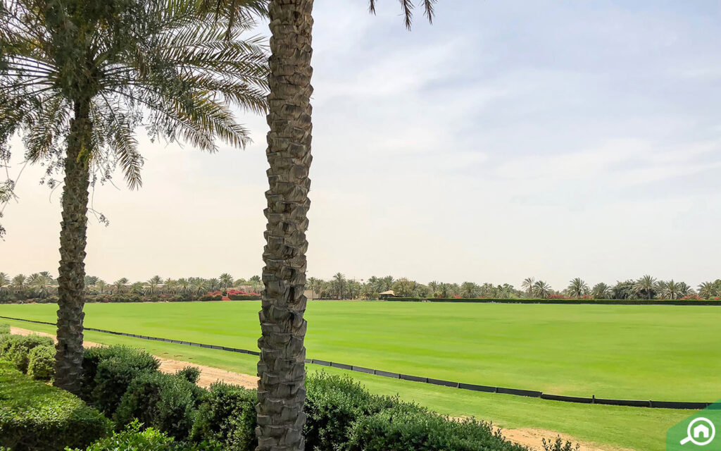 A view of the Grass Field in Desert Palm Polo Club