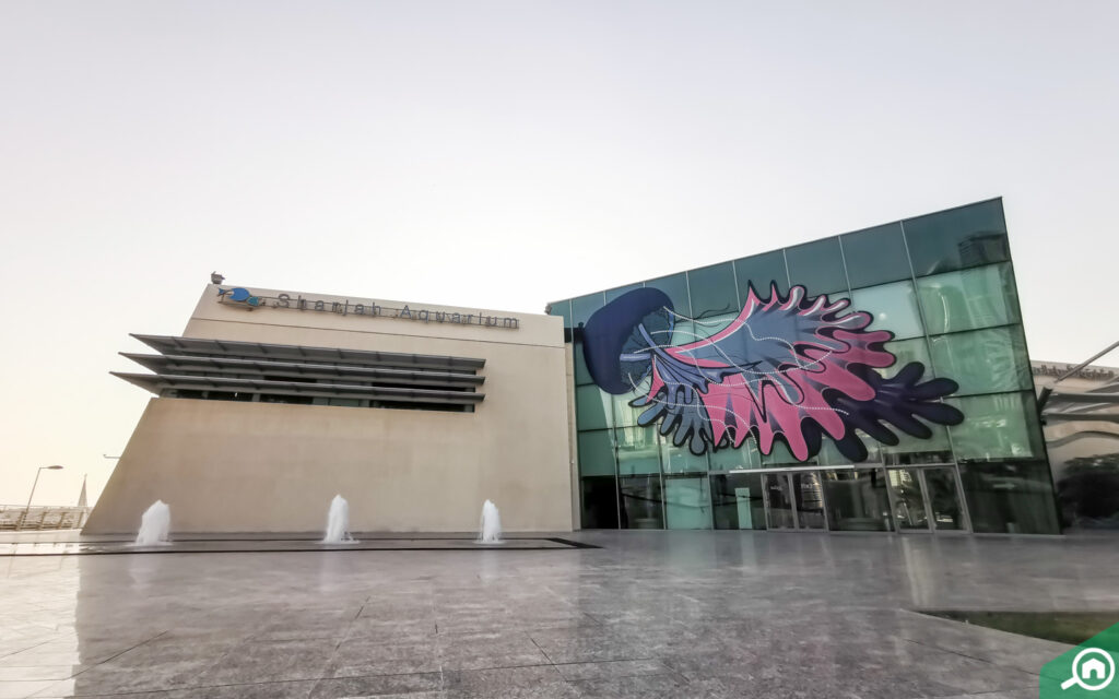Sharjah Aquarium is one of the leading educational centres in Sharjah.