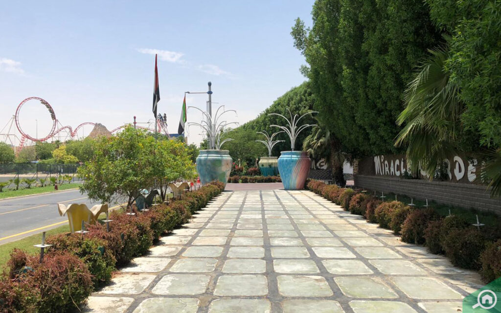 حديقة الزهور