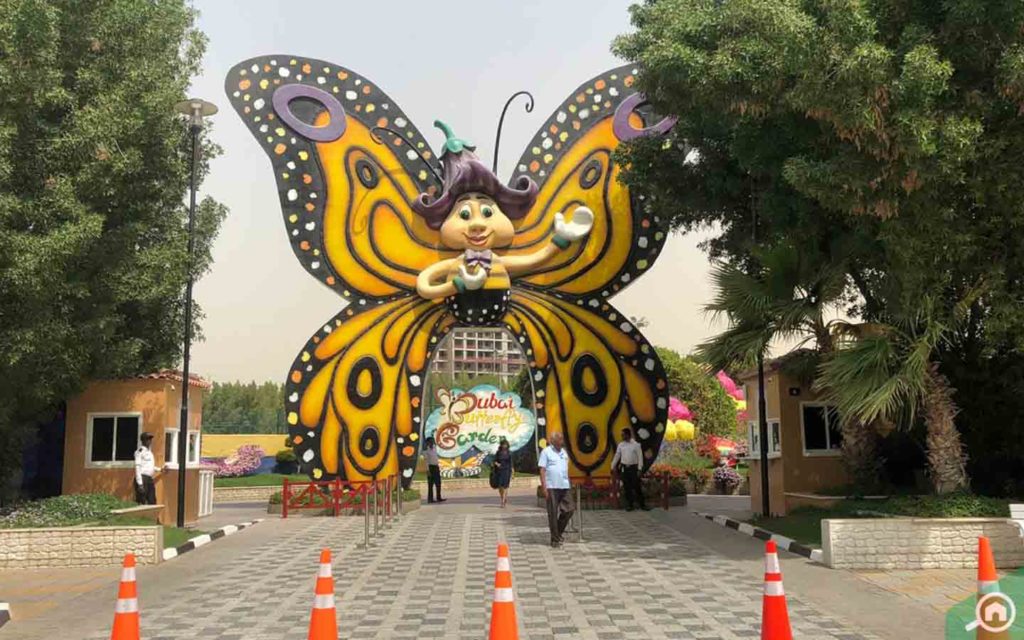 Dubai butterfly garden