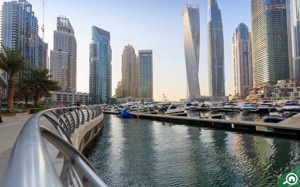 ممشى دبي مارينا