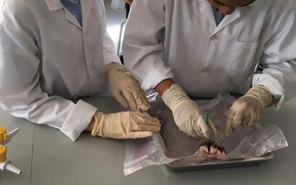 Science lab in Uptown School