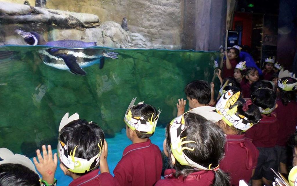Trip to Dubai Aquarium