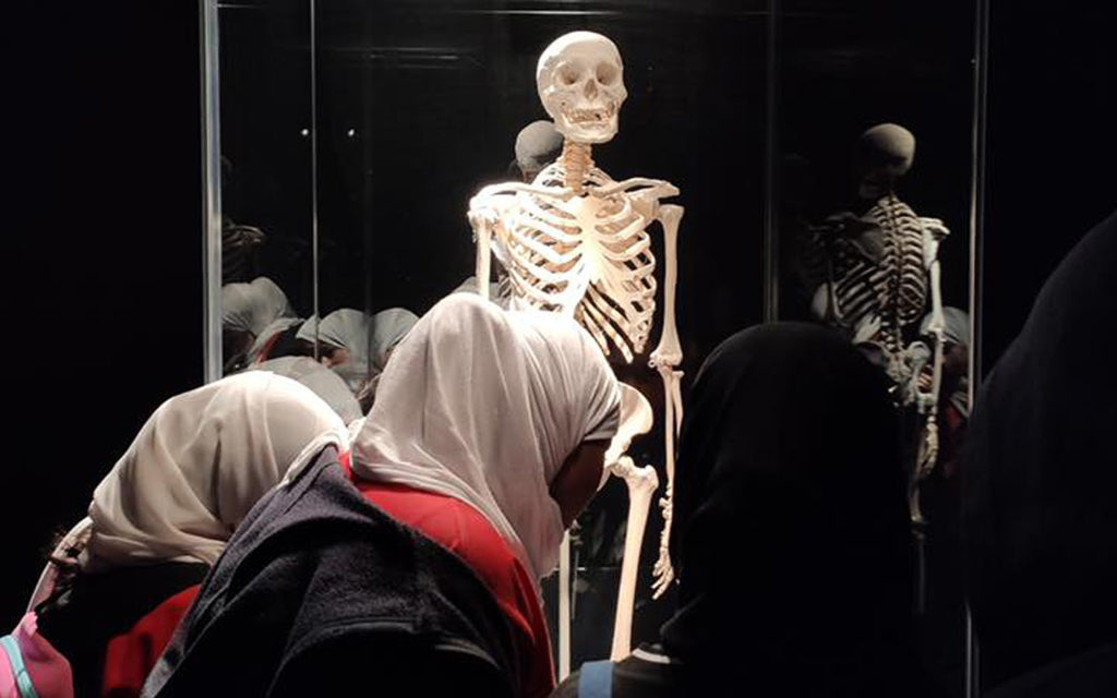 زيارة مدرسية إلى متحف الجسد