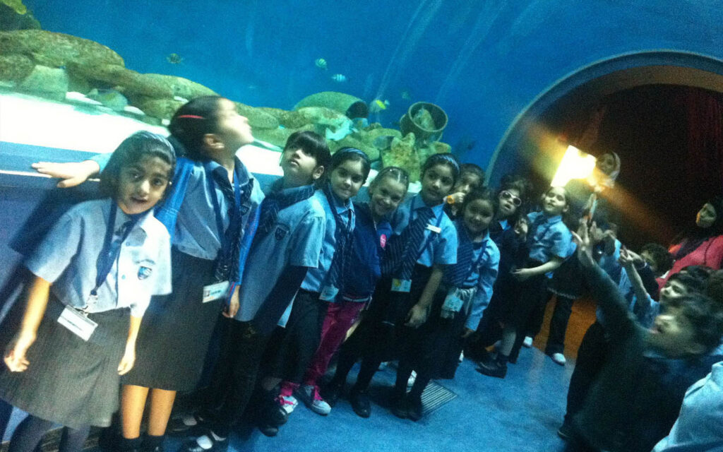 Field trip to Sharjah Aquarium arranged by GEMS Westminster School